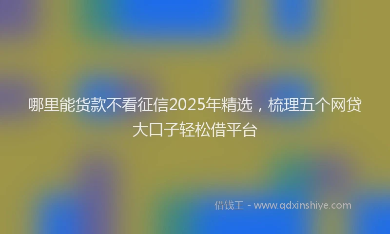 哪里能货款不看征信2025年精选，梳理五个网贷大口子轻松借平台