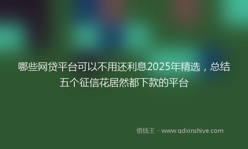 哪些网贷平台可以不用还利息2025年精选，总结五个征信花居然都下款的平台