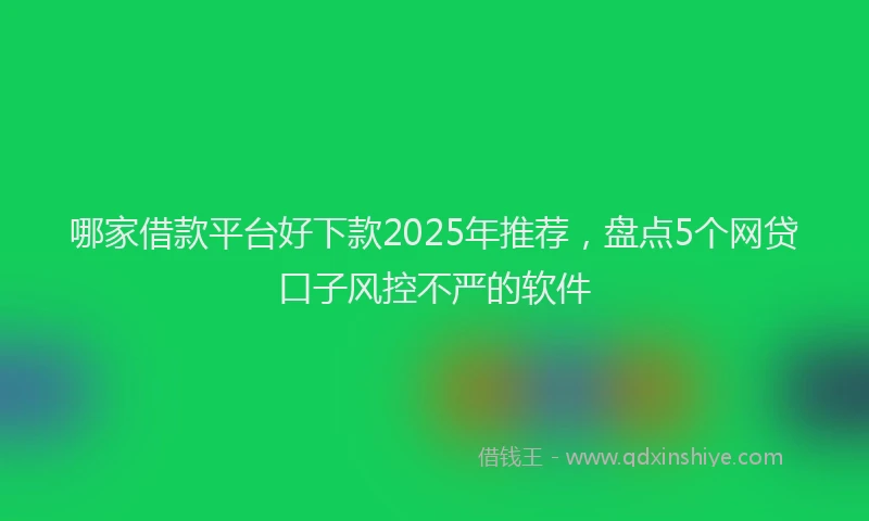 哪家借款平台好下款2025年推荐，盘点5个网贷口子风控不严的软件
