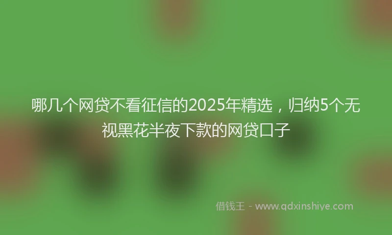 哪几个网贷不看征信的2025年精选，归纳5个无视黑花半夜下款的网贷口子