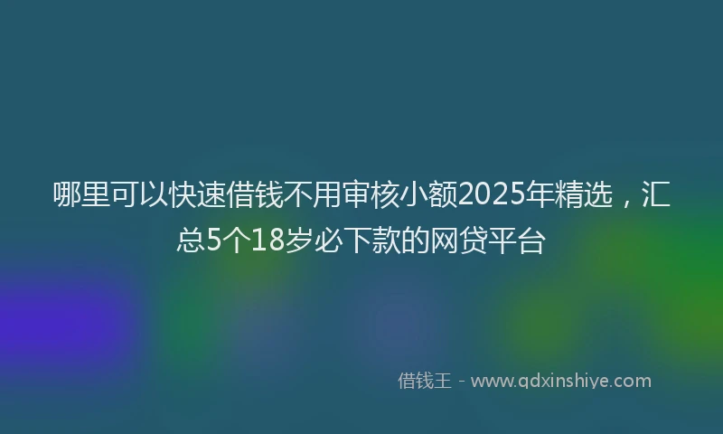 哪里可以快速借钱不用审核小额2025年精选，汇总5个18岁必下款的网贷平台