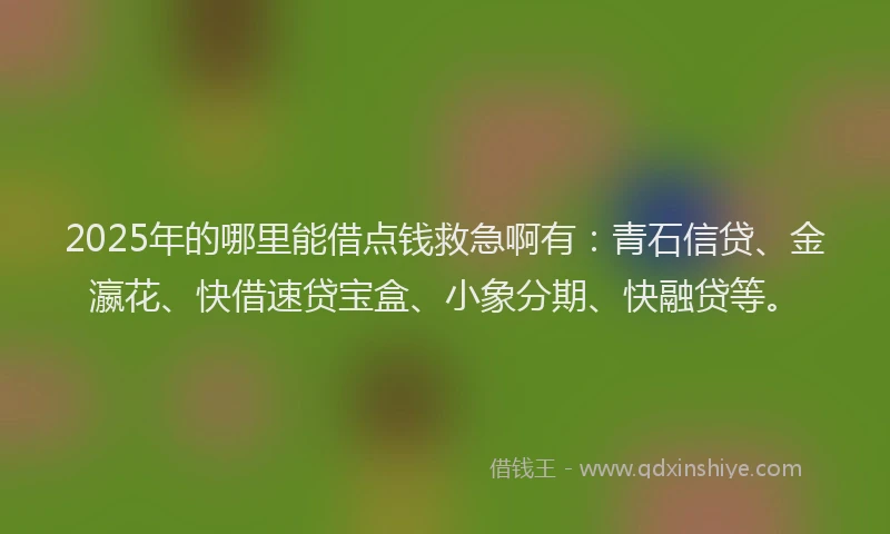 2025年的哪里能借点钱救急啊有：青石信贷、金瀛花、快借速贷宝盒、小象分期、快融贷等。