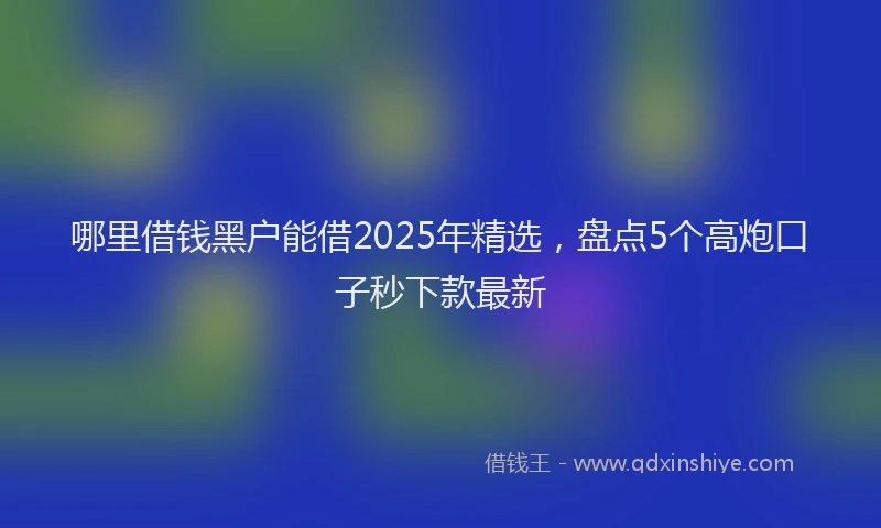 哪里借钱黑户能借2025年精选，盘点5个高炮口子秒下款最新