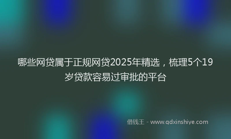 哪些网贷属于正规网贷2025年精选，梳理5个19岁贷款容易过审批的平台
