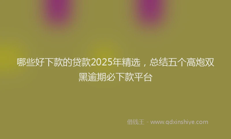 哪些好下款的贷款2025年精选，总结五个高炮双黑逾期必下款平台