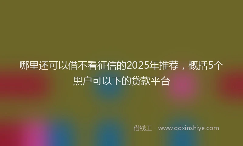 哪里还可以借不看征信的2025年推荐，概括5个黑户可以下的贷款平台