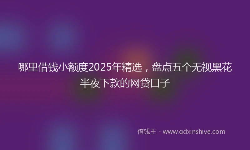 哪里借钱小额度2025年精选，盘点五个无视黑花半夜下款的网贷口子