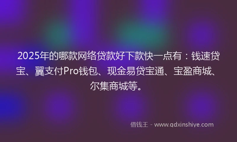 2025年的哪款网络贷款好下款快一点有：钱速贷宝、翼支付Pro钱包、现金易贷宝通、宝盈商城、尔集商城等。