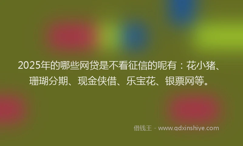 2025年的哪些网贷是不看征信的呢有：花小猪、珊瑚分期、现金侠借、乐宝花、银票网等。