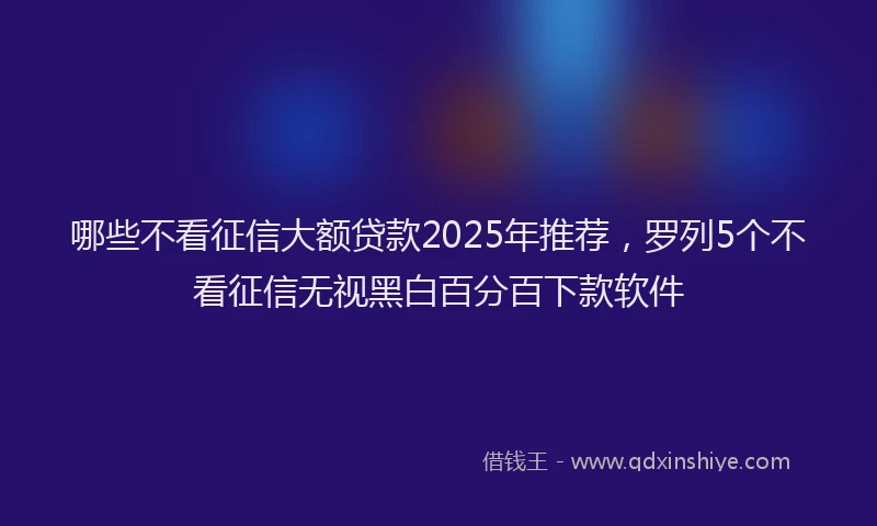 哪些不看征信大额贷款2025年推荐，罗列5个不看征信无视黑白百分百下款软件