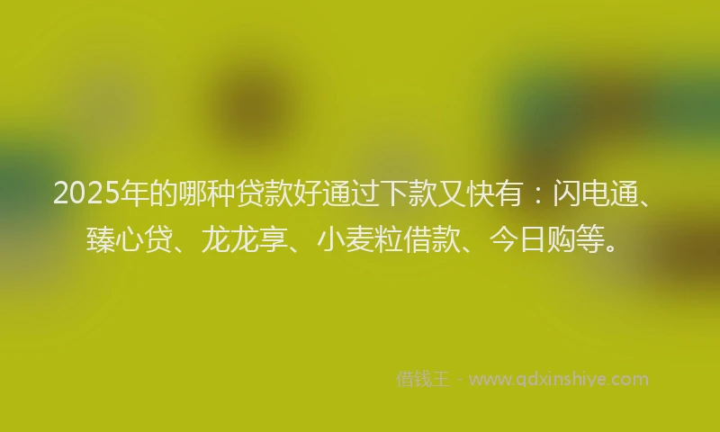 2025年的哪种贷款好通过下款又快有：闪电通、臻心贷、龙龙享、小麦粒借款、今日购等。