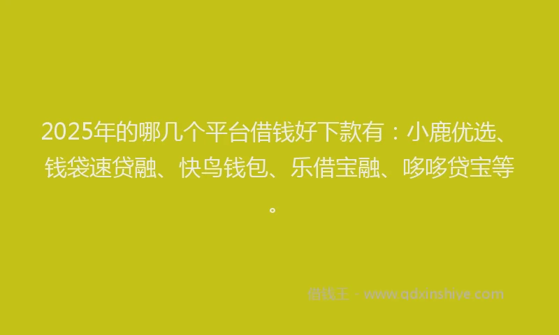 2025年的哪几个平台借钱好下款有:小鹿优选、钱袋速贷融、快鸟钱包、乐借宝融、哆哆贷宝等。