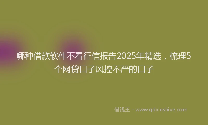 哪种借款软件不看征信报告2025年精选，梳理5个网贷口子风控不严的口子