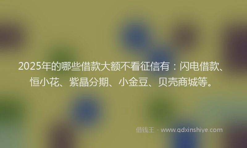2025年的哪些借款大额不看征信有：闪电借款、恒小花、紫晶分期、小金豆、贝壳商城等。