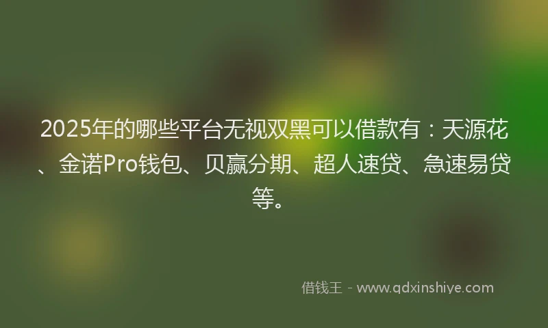 2025年的哪些平台无视双黑可以借款有：天源花、金诺Pro钱包、贝赢分期、超人速贷、急速易贷等。