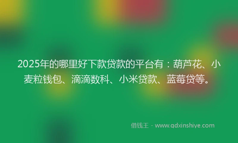 2025年的哪里好下款贷款的平台有：葫芦花、小麦粒钱包、滴滴数科、小米贷款、蓝莓贷等。
