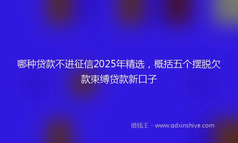 哪种贷款不进征信2025年精选，概括五个摆脱欠款束缚贷款新口子