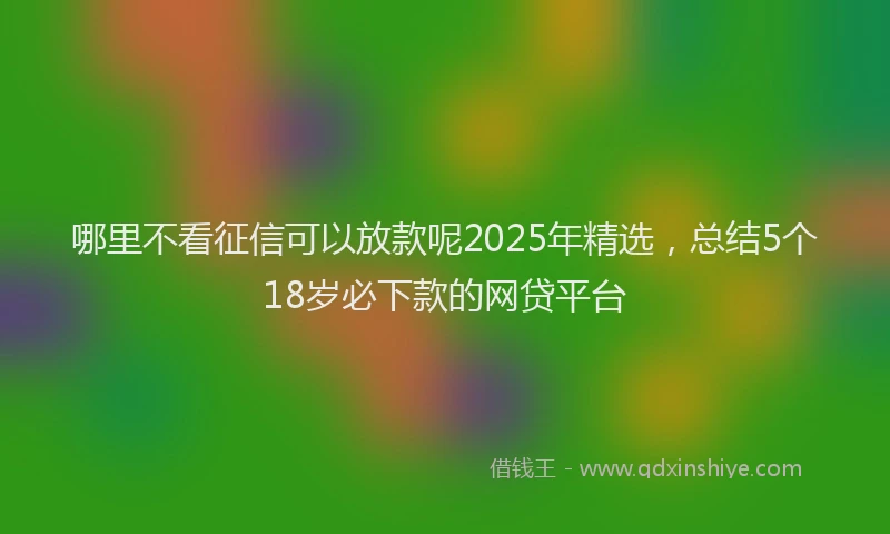 哪里不看征信可以放款呢2025年精选，总结5个18岁必下款的网贷平台