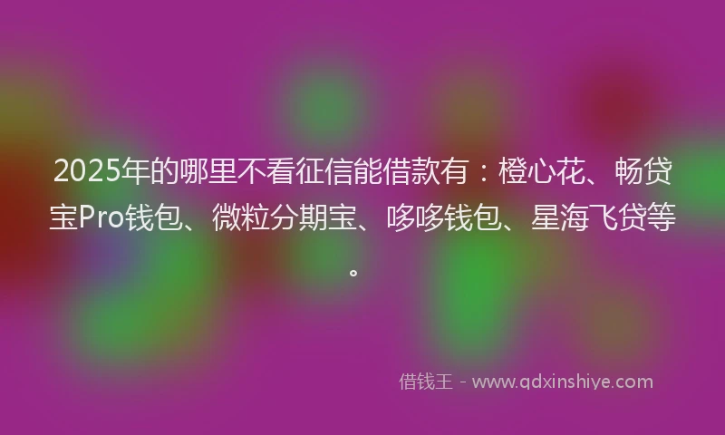 2025年的哪里不看征信能借款有：橙心花、畅贷宝Pro钱包、微粒分期宝、哆哆钱包、星海飞贷等。