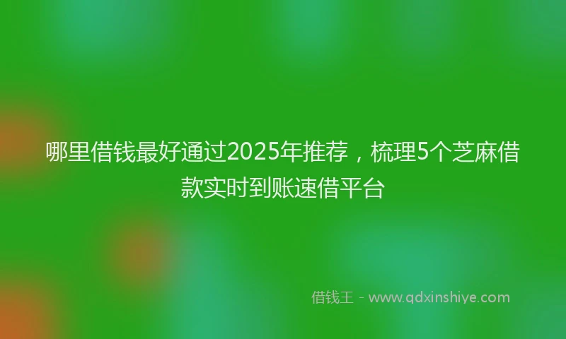 哪里借钱最好通过2025年推荐，梳理5个芝麻借款实时到账速借平台