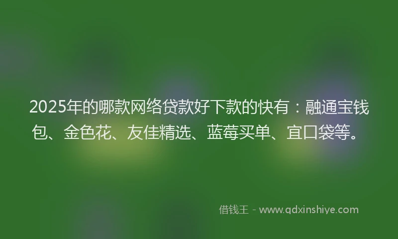 2025年的哪款网络贷款好下款的快有：融通宝钱包、金色花、友佳精选、蓝莓买单、宜口袋等。