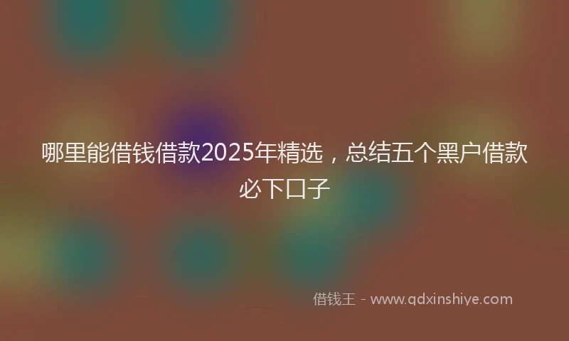 哪里能借钱借款2025年精选，总结五个黑户借款必下口子