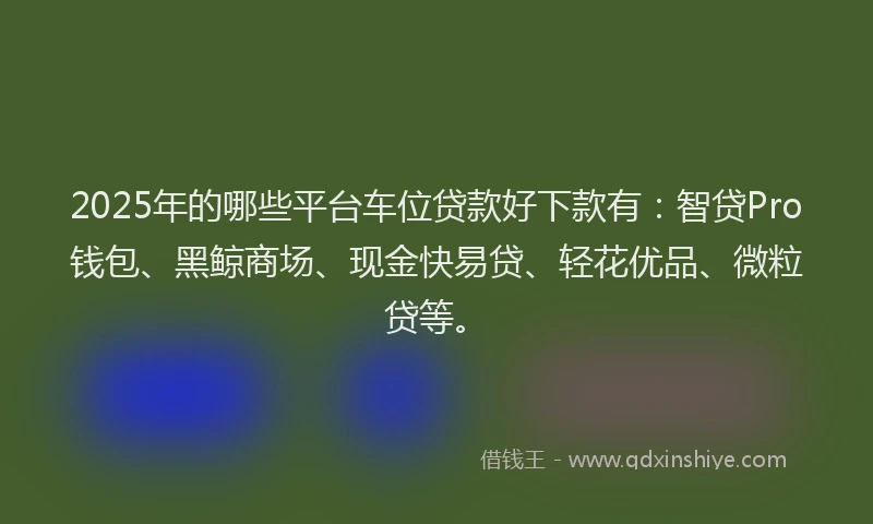 2025年的哪些平台车位贷款好下款有：智贷Pro钱包、黑鲸商场、现金快易贷、轻花优品、微粒贷等。
