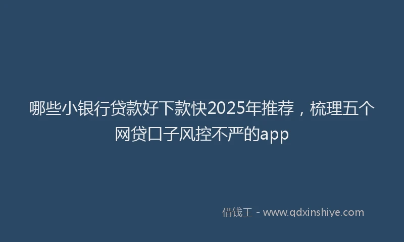 哪些小银行贷款好下款快2025年推荐，梳理五个网贷口子风控不严的app