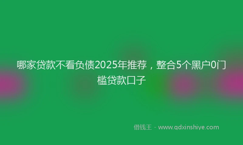 哪家贷款不看负债2025年推荐，整合5个黑户0门槛贷款口子
