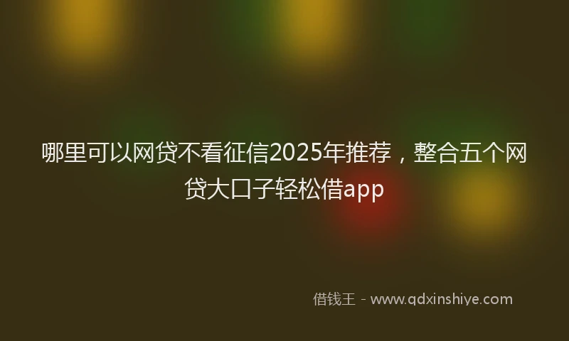 哪里可以网贷不看征信2025年推荐,整合五个网贷大口子轻松借app