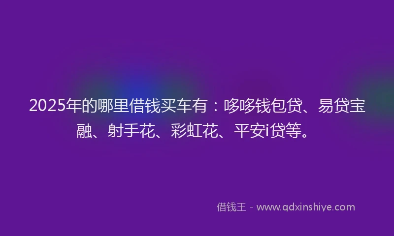 2025年的哪里借钱买车有：哆哆钱包贷、易贷宝融、射手花、彩虹花、平安i贷等。