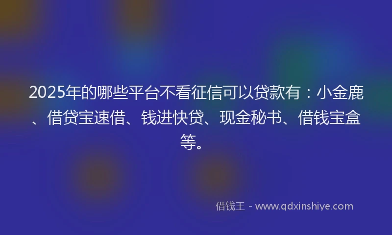 2025年的哪些平台不看征信可以贷款有：小金鹿、借贷宝速借、钱进快贷、现金秘书、借钱宝盒等。