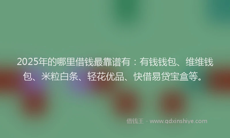 2025年的哪里借钱最靠谱有：有钱钱包、维维钱包、米粒白条、轻花优品、快借易贷宝盒等。