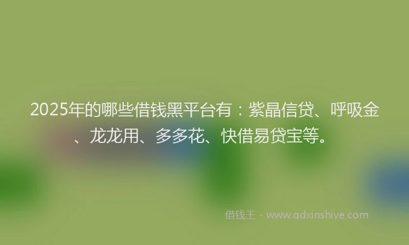 2025年的哪些借钱黑平台有：紫晶信贷、呼吸金、龙龙用、多多花、快借易贷宝等。