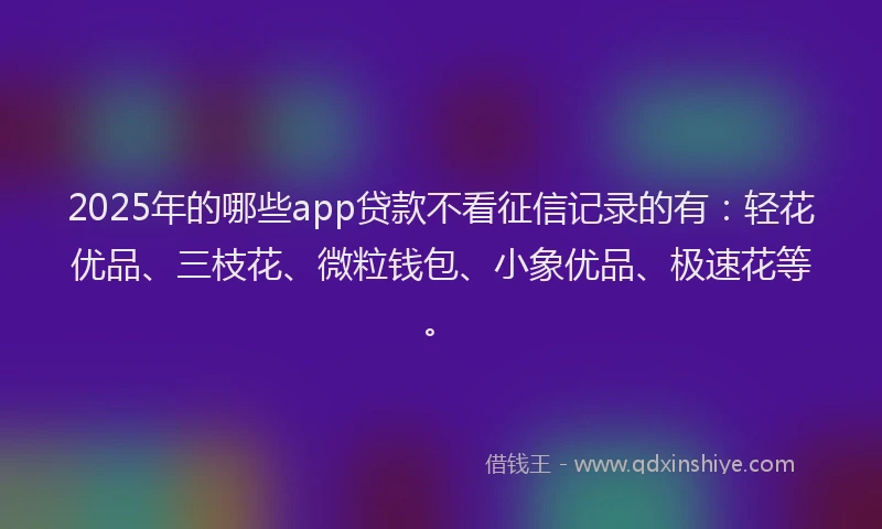 2025年的哪些app贷款不看征信记录的有：轻花优品、三枝花、微粒钱包、小象优品、极速花等。