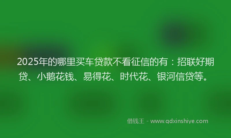 2025年的哪里买车贷款不看征信的有：招联好期贷、小鹅花钱、易得花、时代花、银河信贷等。