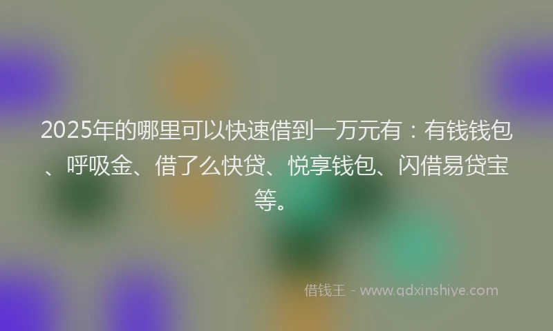 2025年的哪里可以快速借到一万元有：有钱钱包、呼吸金、借了么快贷、悦享钱包、闪借易贷宝等。