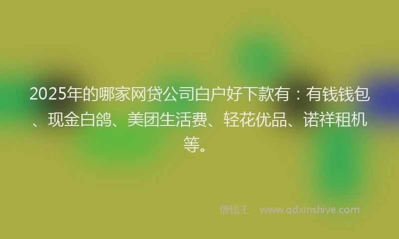 2025年的哪家网贷公司白户好下款有：有钱钱包、现金白鸽、美团生活费、轻花优品、诺祥租机等。