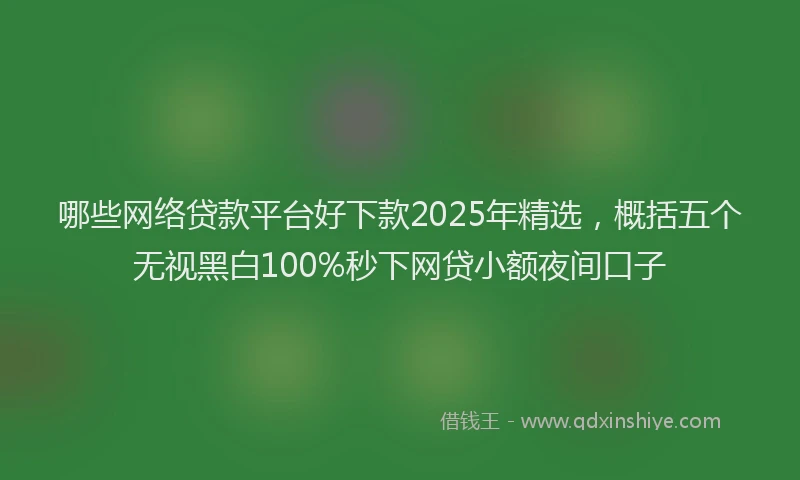 哪些网络贷款平台好下款2025年精选，概括五个无视黑白100%秒下网贷小额夜间口子