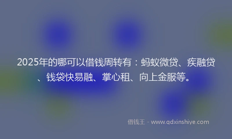 2025年的哪可以借钱周转有：蚂蚁微贷、疾融贷、钱袋快易融、掌心租、向上金服等。