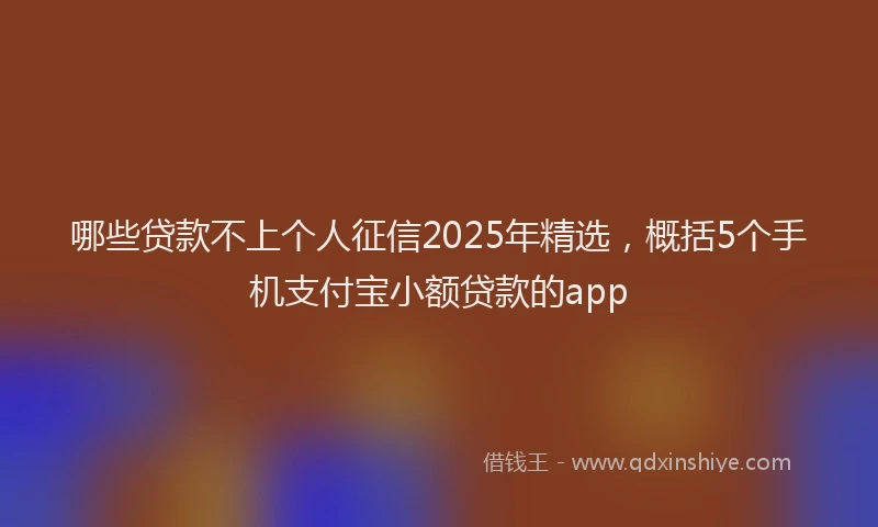 哪些贷款不上个人征信2025年精选，概括5个手机支付宝小额贷款的app