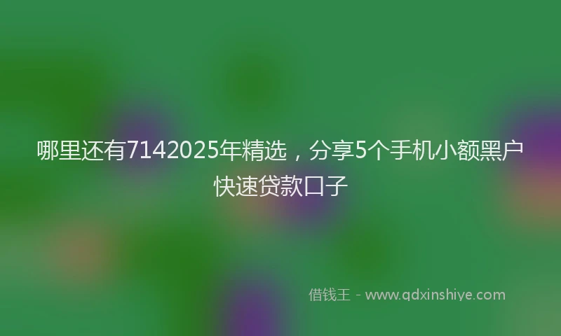 哪里还有7142025年精选，分享5个手机小额黑户快速贷款口子