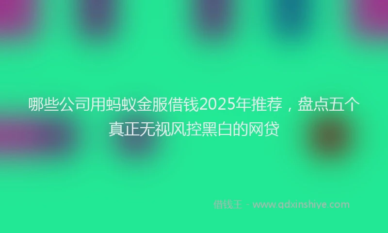 哪些公司用蚂蚁金服借钱2025年推荐，盘点五个真正无视风控黑白的网贷