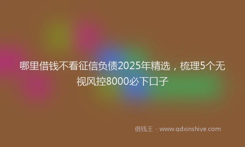 哪里借钱不看征信负债2025年精选，梳理5个无视风控8000必下口子
