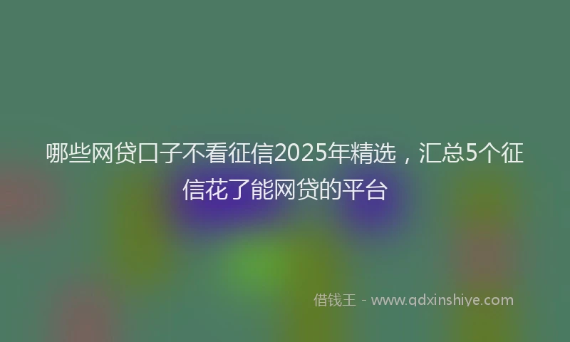 哪些网贷口子不看征信2025年精选,汇总5个征信花了能网贷的平台