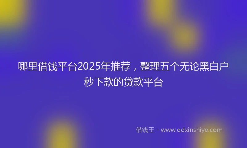 哪里借钱平台2025年推荐,整理五个无论黑白户秒下款的贷款平台