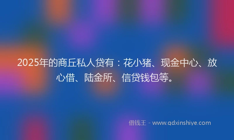 2025年的商丘私人贷有：花小猪、现金中心、放心借、陆金所、信贷钱包等。