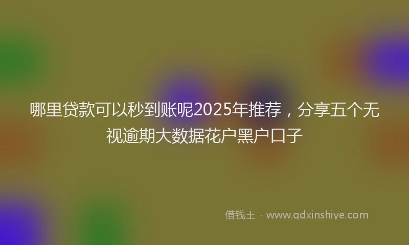 哪里贷款可以秒到账呢2025年推荐，分享五个无视逾期大数据花户黑户口子