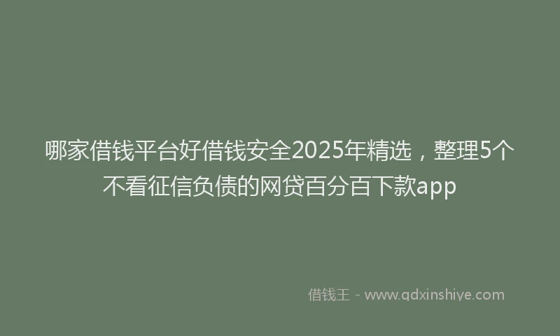 哪家借钱平台好借钱安全2025年精选，整理5个不看征信负债的网贷百分百下款app