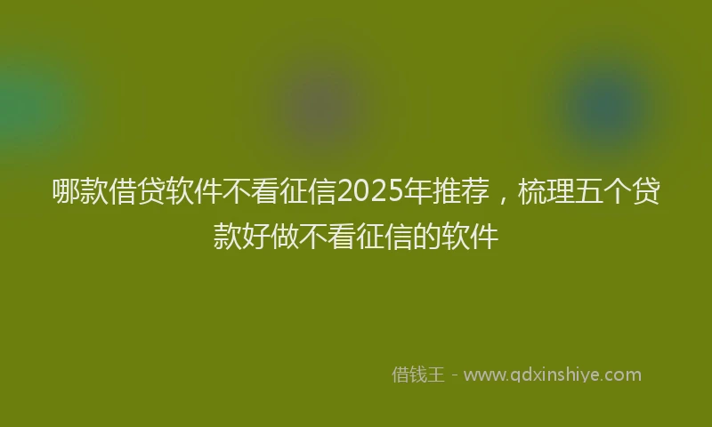 哪款借贷软件不看征信2025年推荐，梳理五个贷款好做不看征信的软件